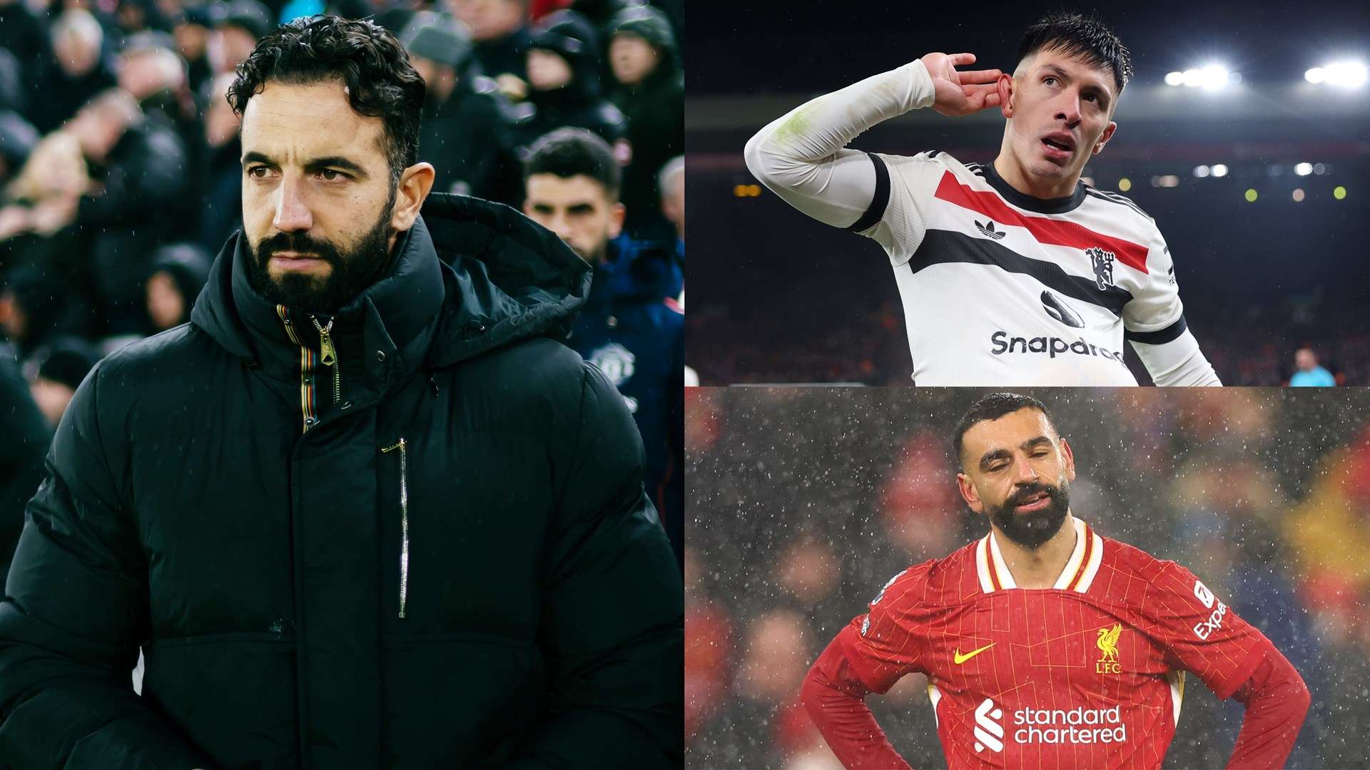 培养本土年 培养本土年