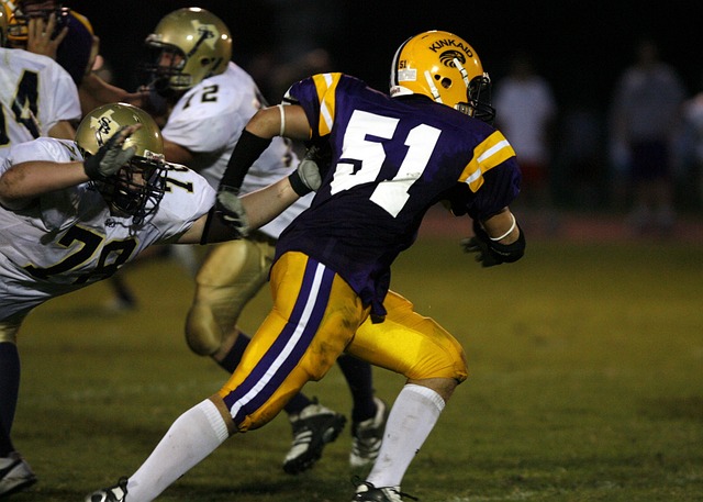 极寻找替代 极寻找替代