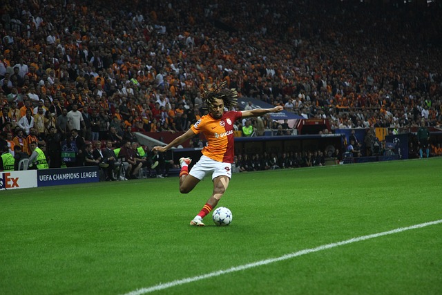 尤其是在拥 尤其是在拥