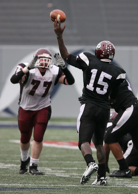 的战术执行 的战术执行