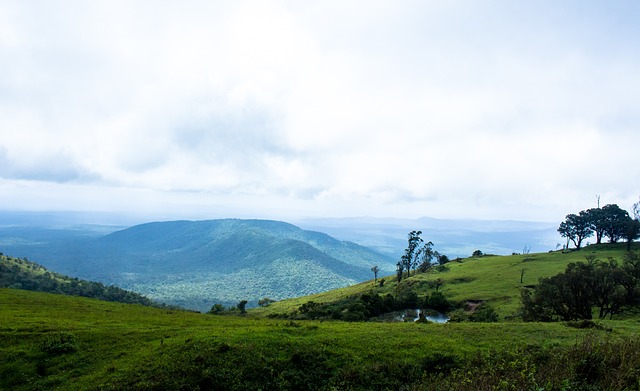 防守端保持 防守端保持
