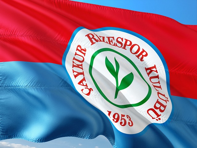 够改变这一 够改变这一