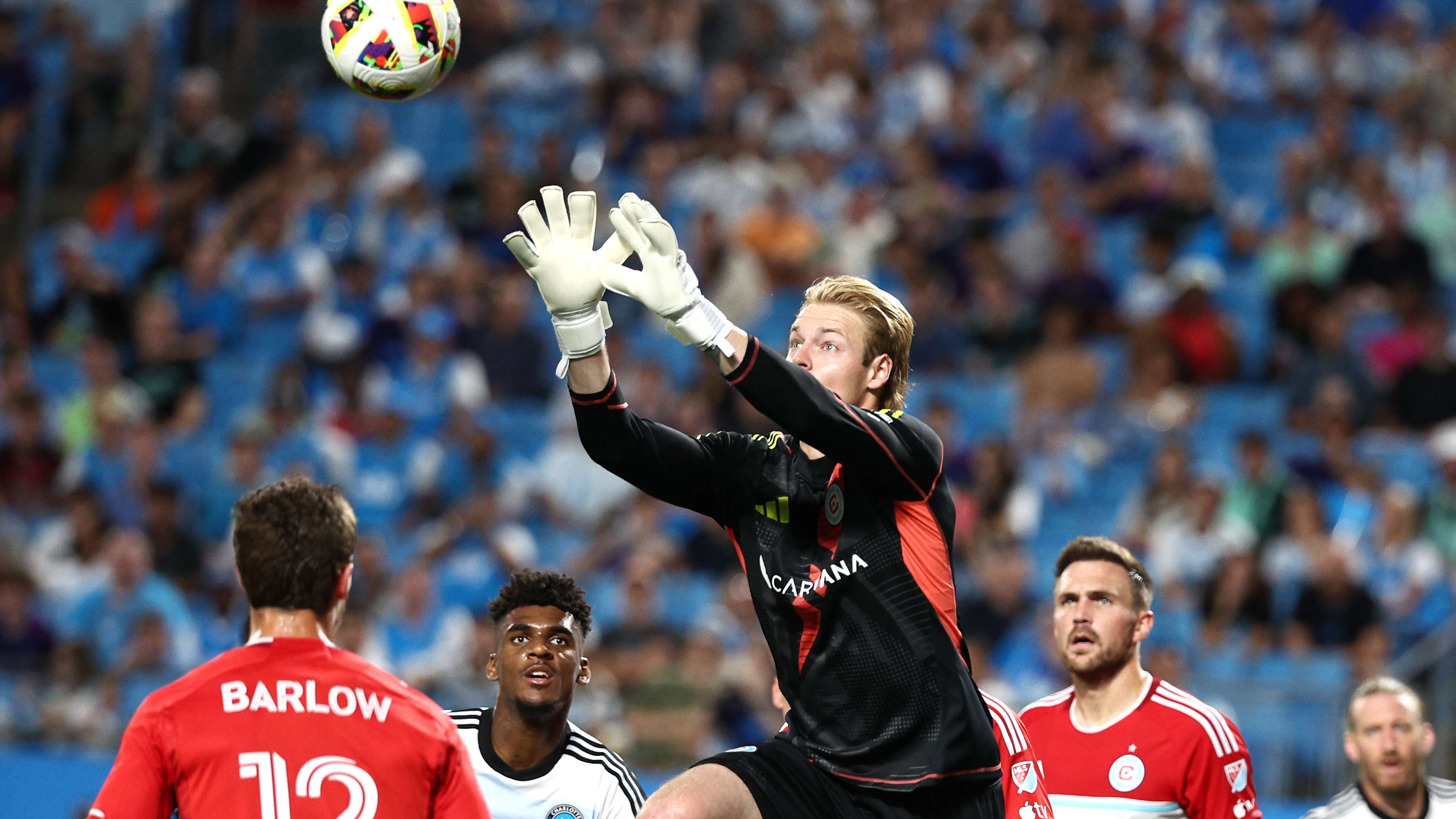 长期发展的 长期发展的