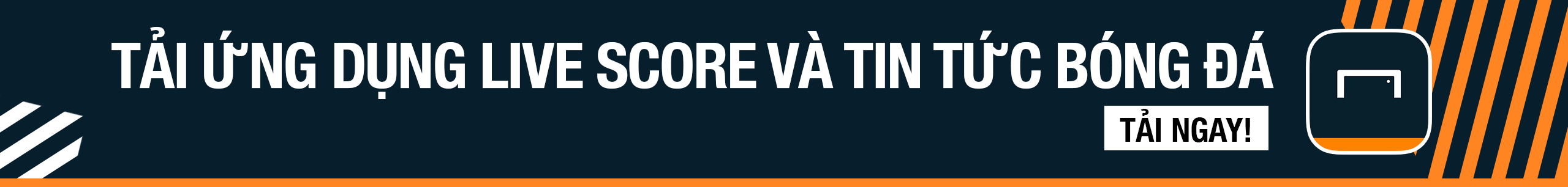 水平的认可 水平的认可